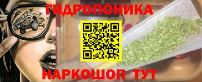 стаф Камышлов