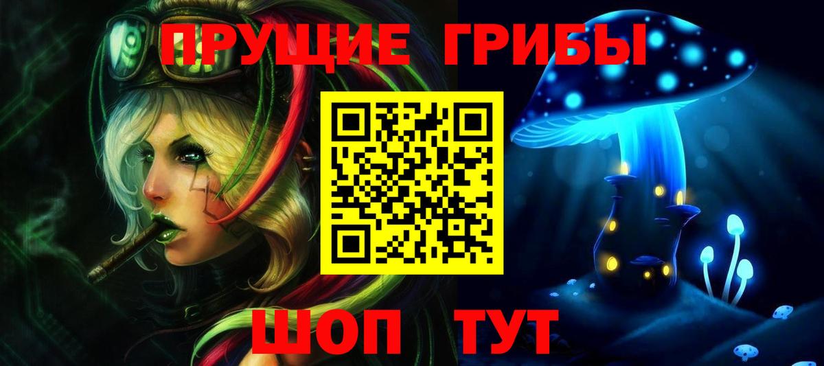 Псилоцибиновые грибы GOLDEN TEACHER Кубинка