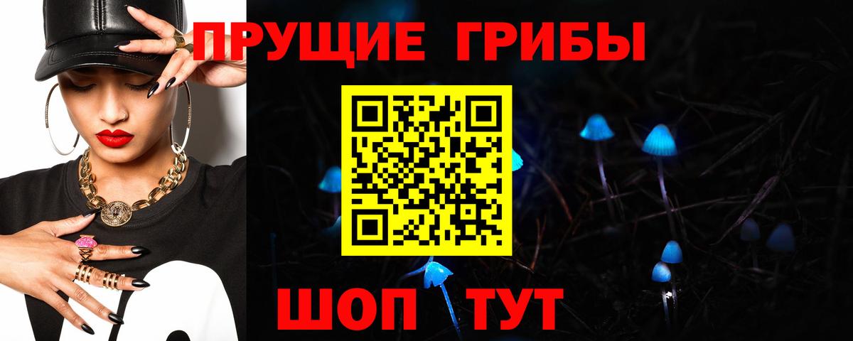 Галлюциногенные грибы Psilocybe  Вход с VPN  Кубинка 